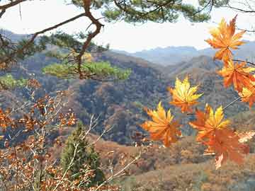 遂宁最新干部任前公示